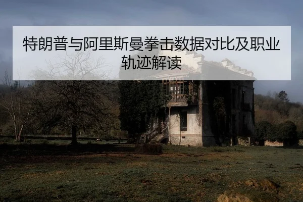 特朗普与阿里斯曼拳击数据对比及职业轨迹解读